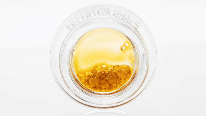Dank Bank House Full Spectrum Extract - 1g - Lemon Larry