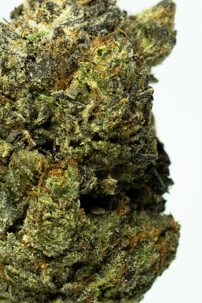 Bubba Kings - Flight 23 - Image 2
