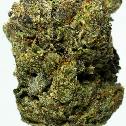 Bubba Kings - Flight 23