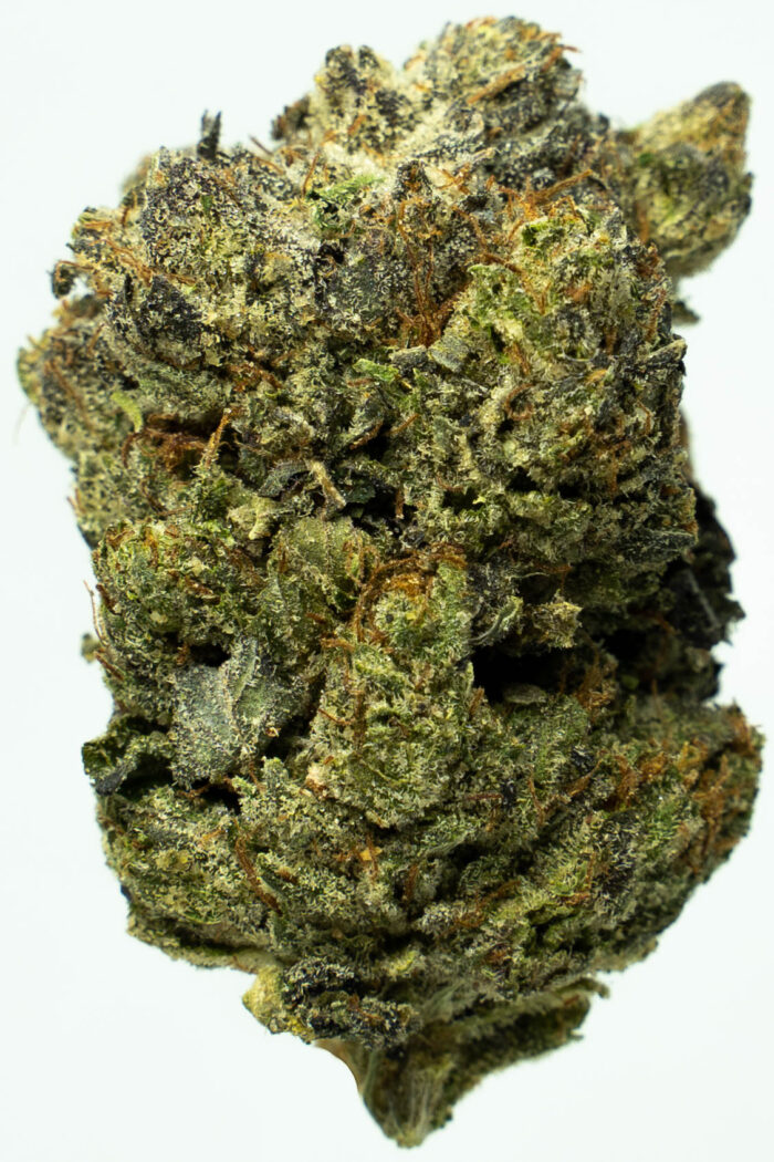 Bubba Kings - Flight 23