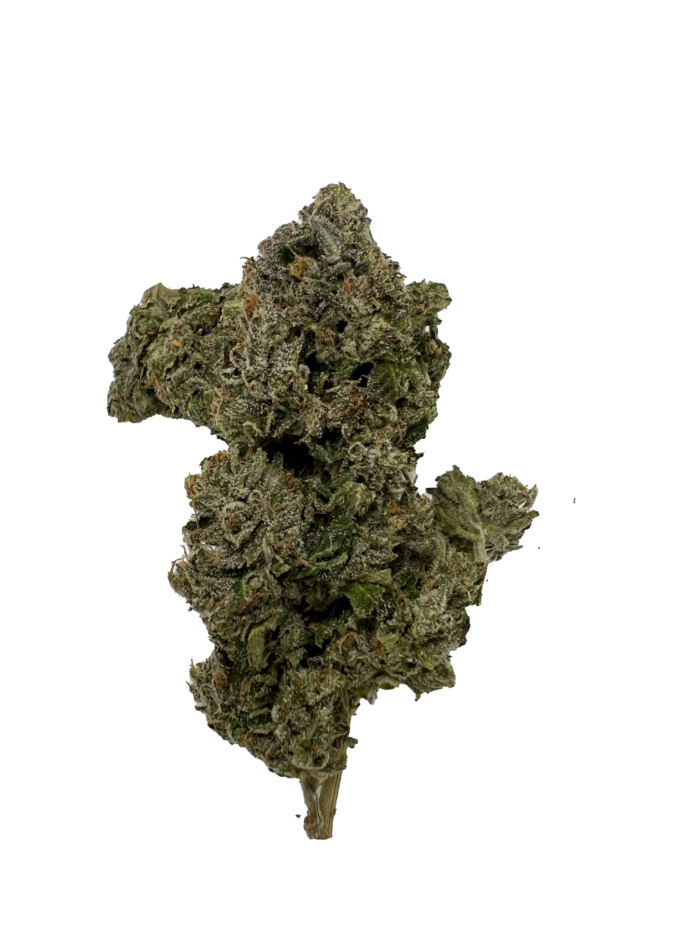 Bubba Kings - Lizard - Image 2