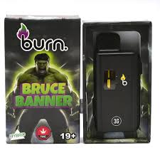Burn Disposable Vapes - 3g - Bruce Banner