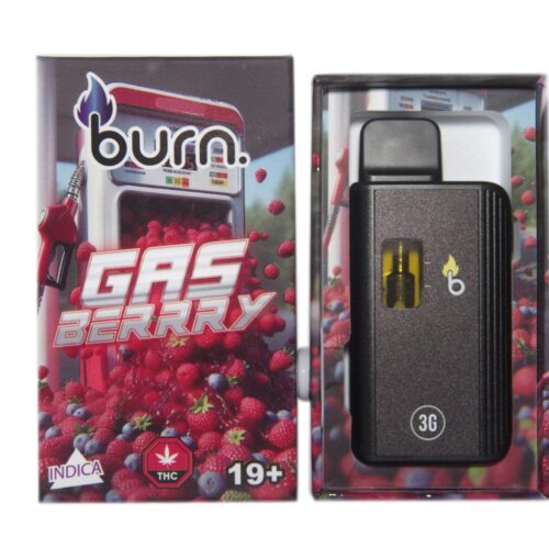 Burn Disposable Vapes - 3g - Gas Berry