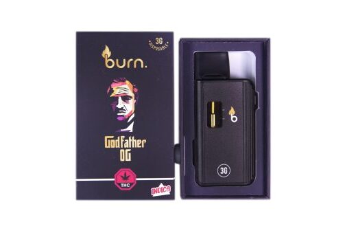 Burn Disposable Vapes - 3g - Godfather OG