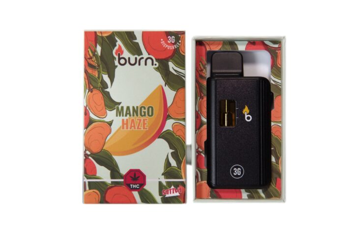 Burn Disposable Vapes - 3g - Mango Haze