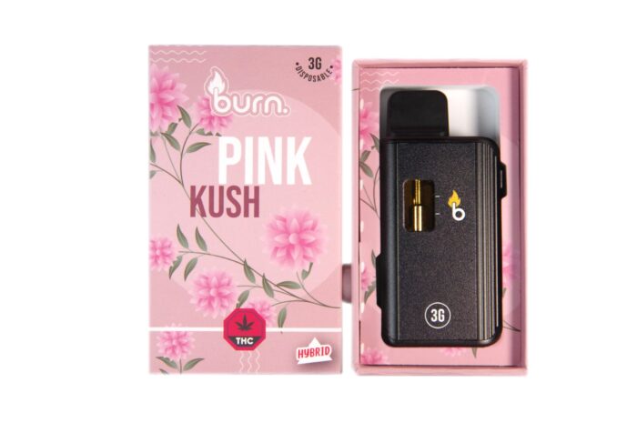 Burn Disposable Vapes - 3g -  Pink Kush