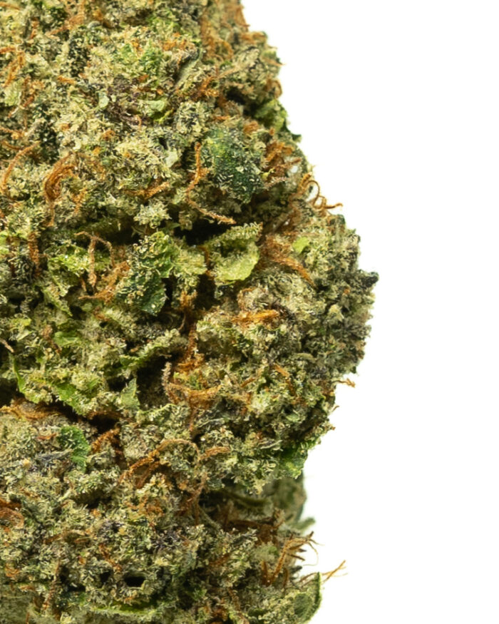 Grease Monkey - Image 7