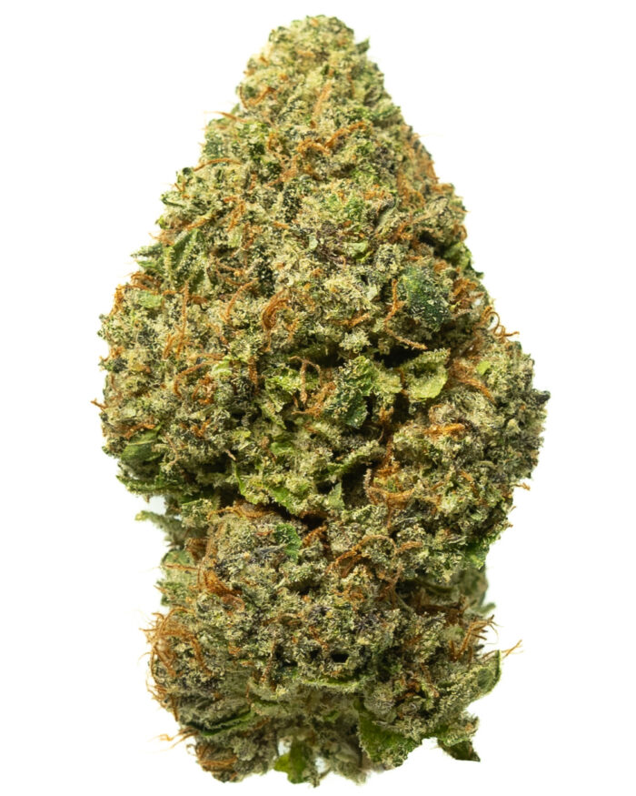 Grease Monkey - Image 8