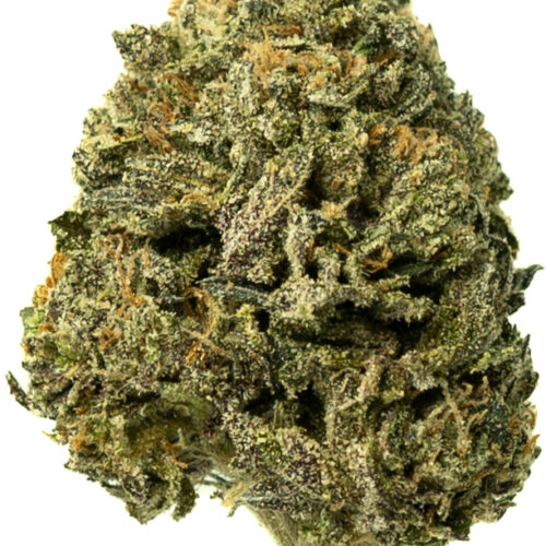 Girl Scout Cookies