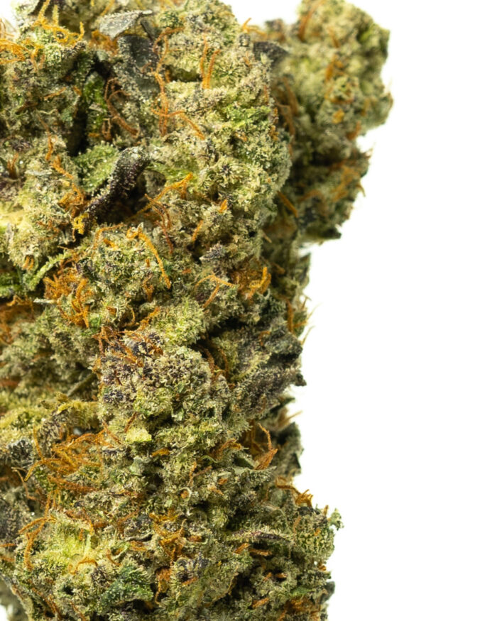 Grease Monkey - Image 10