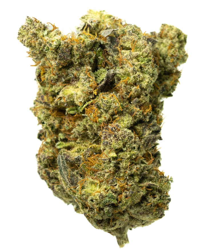 Grease Monkey - Image 11