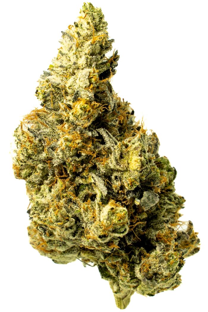 Bubba Kings - Flight 23 - Image 7