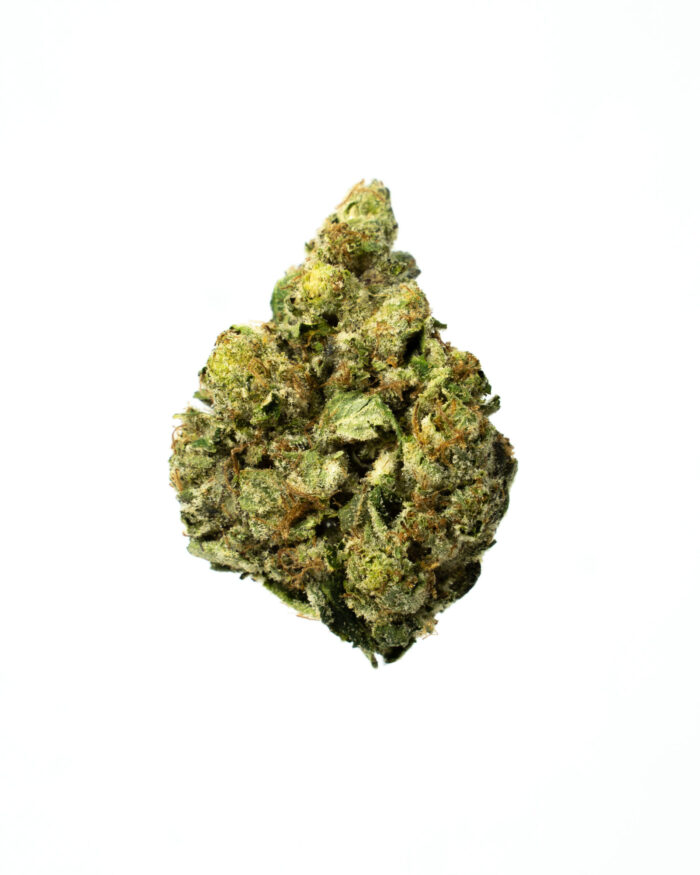 Bubba Kings - Flight 23 - Image 4