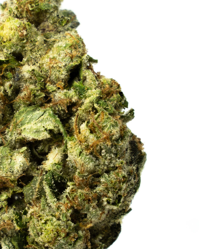 Bubba Kings - Flight 23 - Image 6