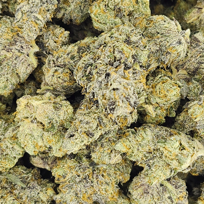 Gelato - Image 2