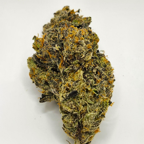 Gelato