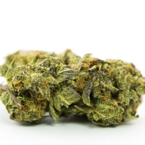 Grand Master Kush