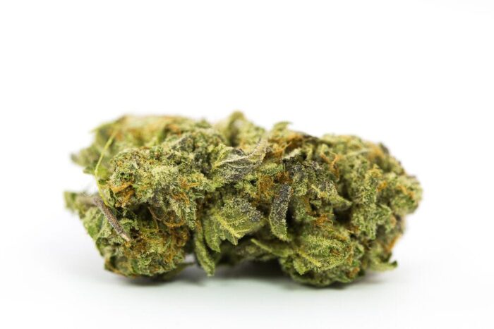 Grand Master Kush