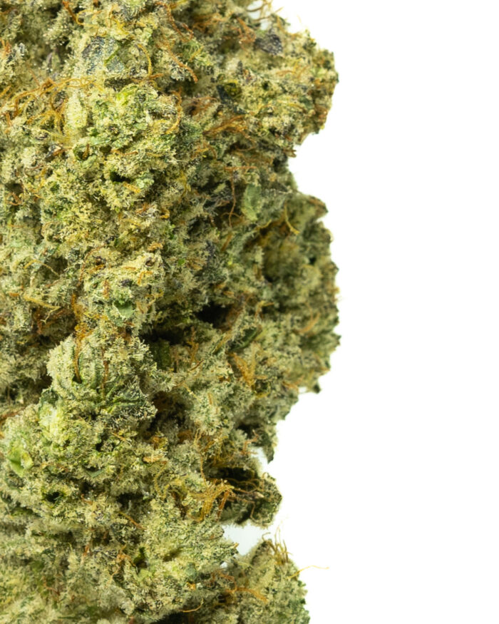 Grease Monkey - Image 2