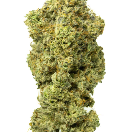 Grease Monkey