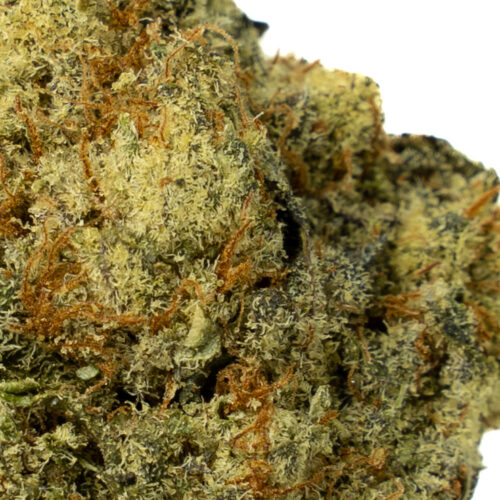 Head Stash