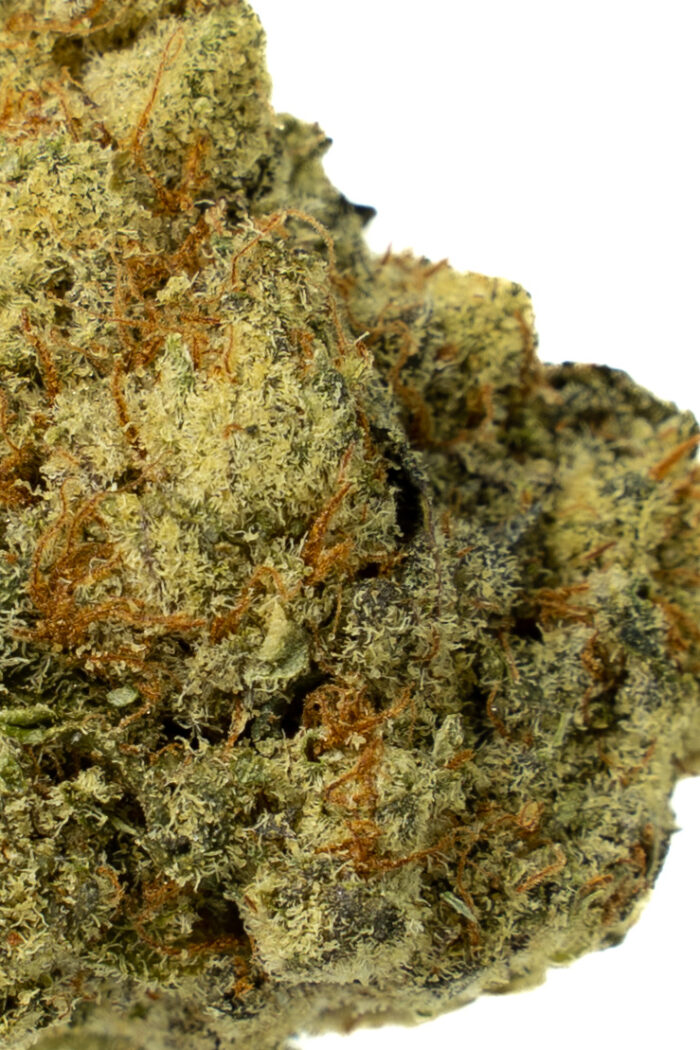 Head Stash