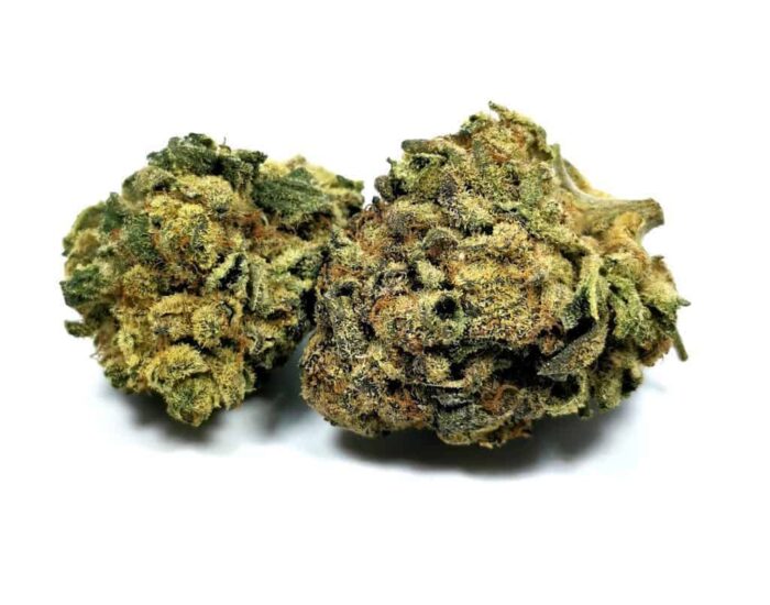 Head Stash - Image 8