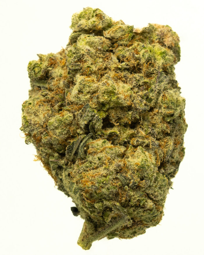 Grease Monkey - Image 14