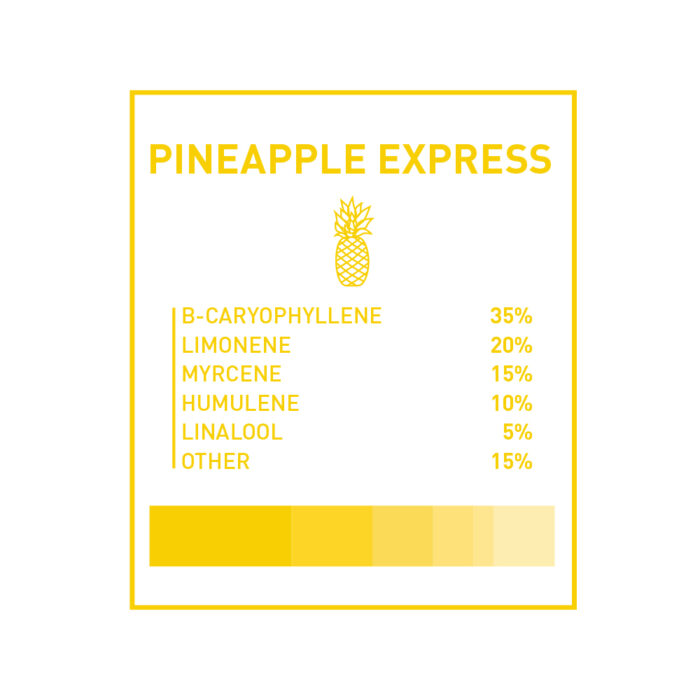 Boost THC Vape Cartridges - 1g - Pineapple Express - Image 2