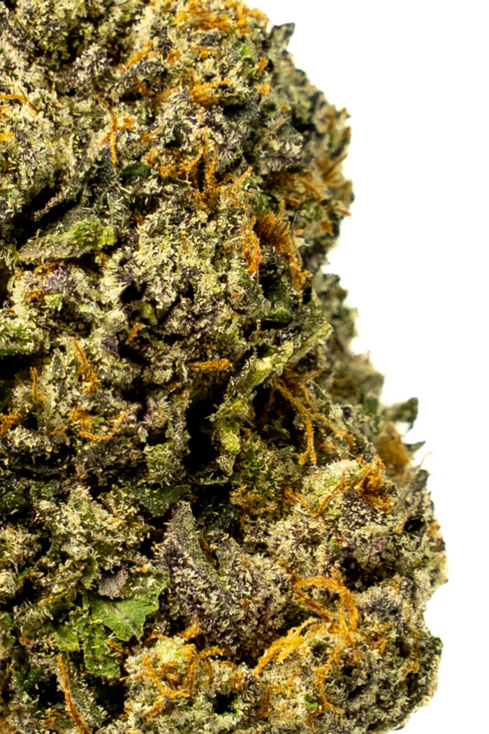 Black Gas - Image 6