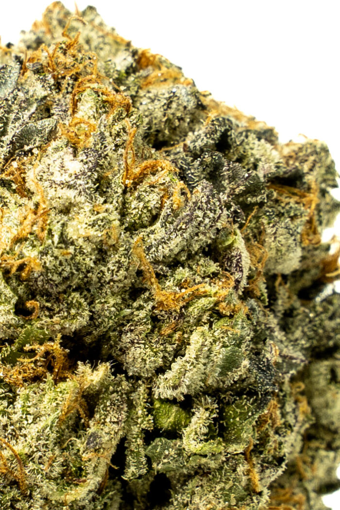 Black Gas - Image 2