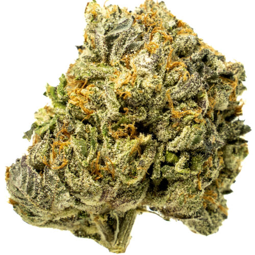 Black Gas