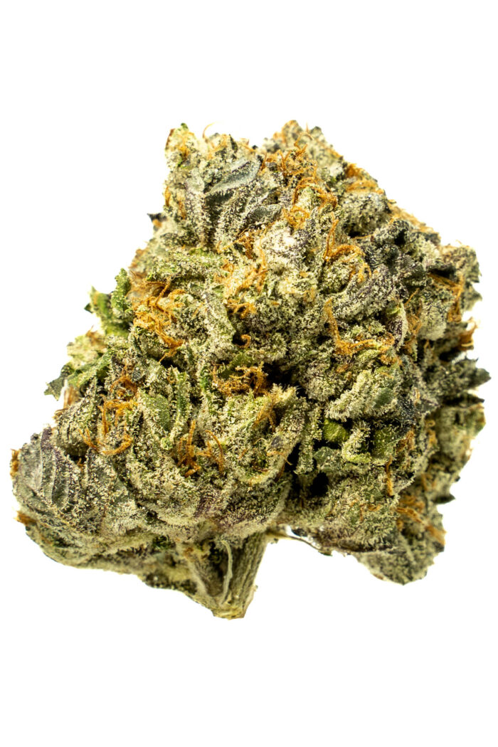 Black Gas