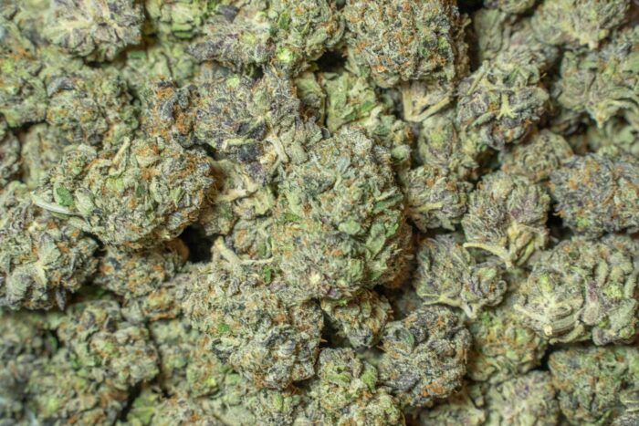 Black Gas - Image 4
