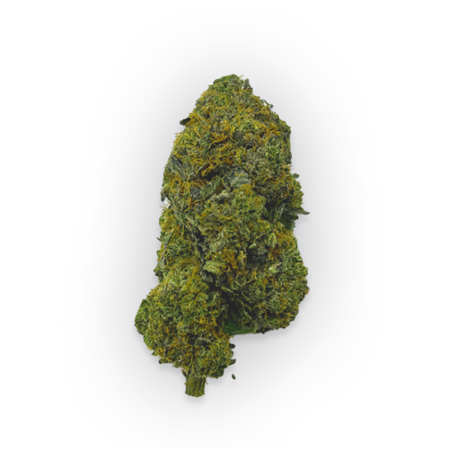 Rockstar OG