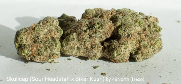 Head Stash - Image 7