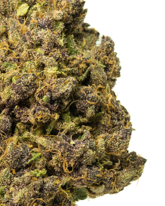 Grease Monkey - Image 19