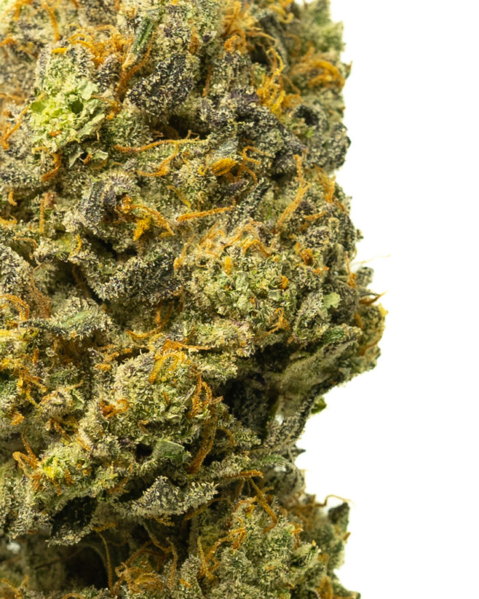 Grease Monkey - Image 22