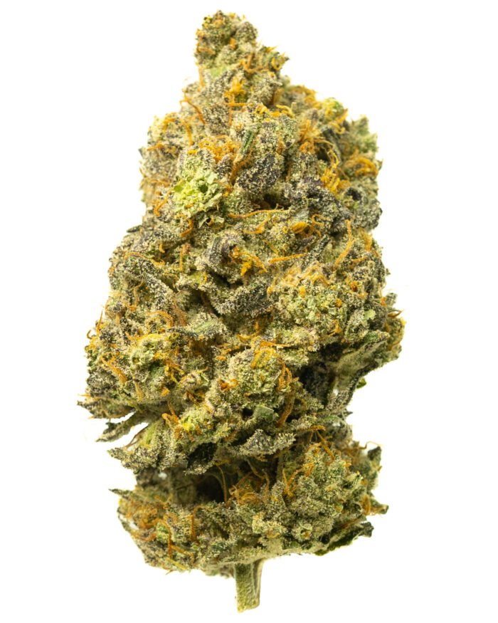 Grease Monkey - Image 23