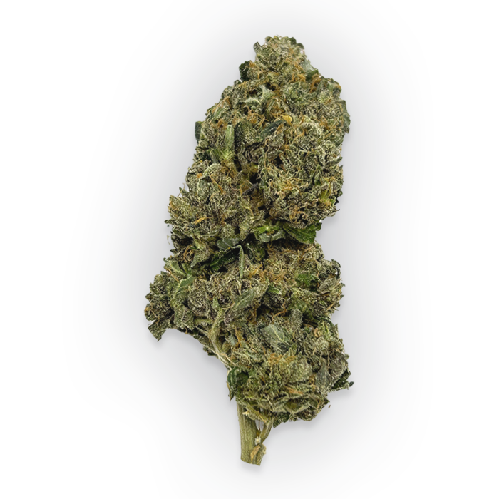 Tuna Kush