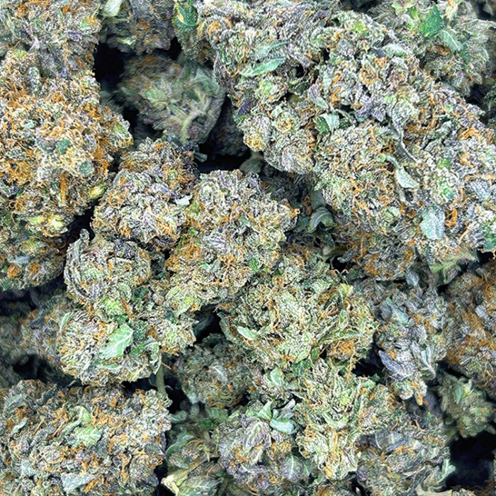 Tuna Kush - Image 2