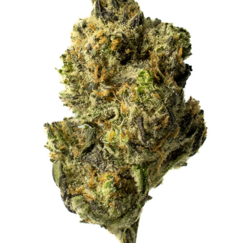 Peyote Cookies