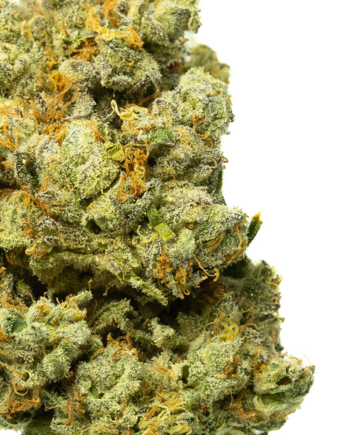 Grease Monkey - Image 25
