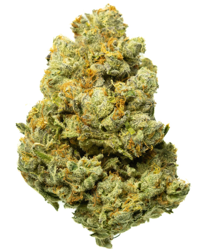 Grease Monkey - Image 26