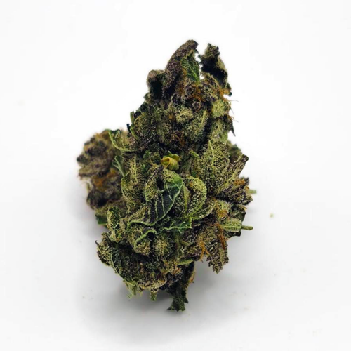 White Truffle - AA - 1 Oz.