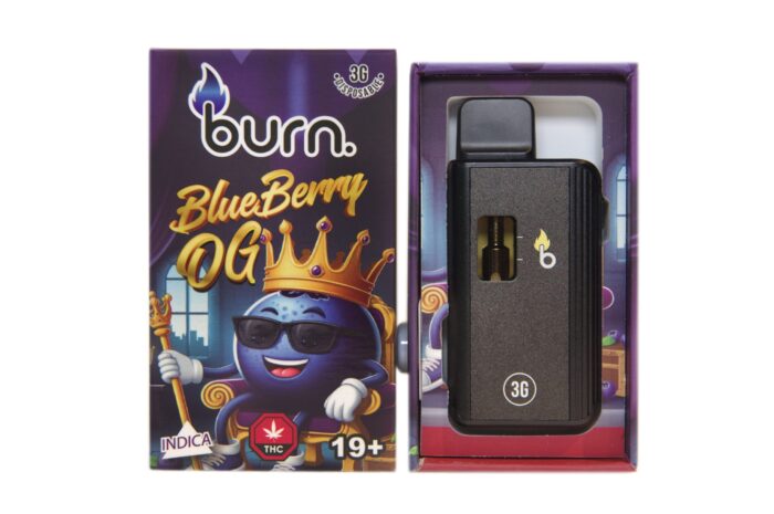 Burn Disposable Vapes - 3g - Blueberry OG