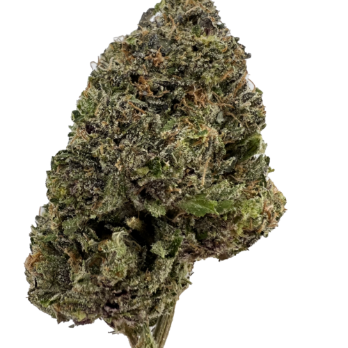 Bubba Kings - Lizard