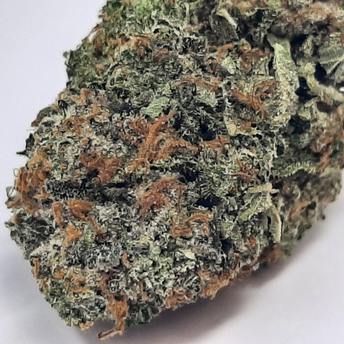 Grand Master Kush - Image 2