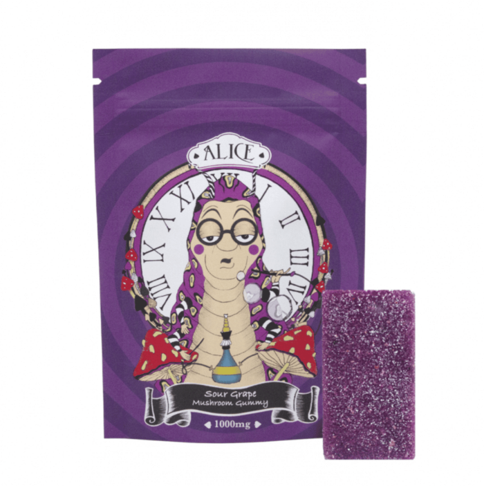 Alice - 2500mg Psilocybin - Grape Gummy