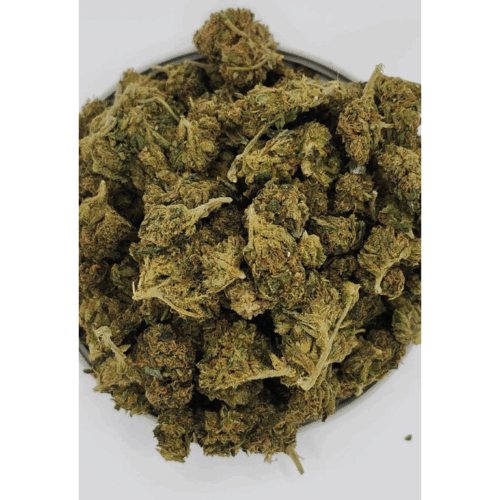 Amnesia - AA - 1 Oz.